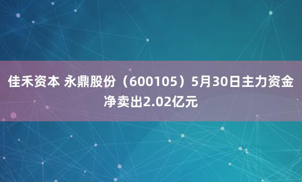 佳禾资本 永鼎股份（600105）5月30日主力资金净卖出2.02亿元