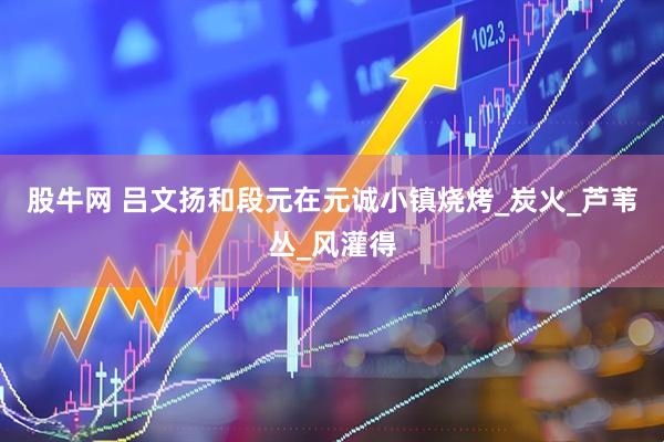 股牛网 吕文扬和段元在元诚小镇烧烤_炭火_芦苇丛_风灌得