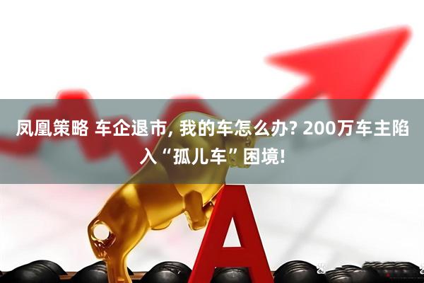 凤凰策略 车企退市, 我的车怎么办? 200万车主陷入“孤儿车”困境!