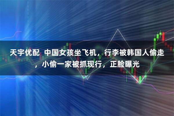 天宇优配  中国女孩坐飞机，行李被韩国人偷走，小偷一家被抓现行，正脸曝光
