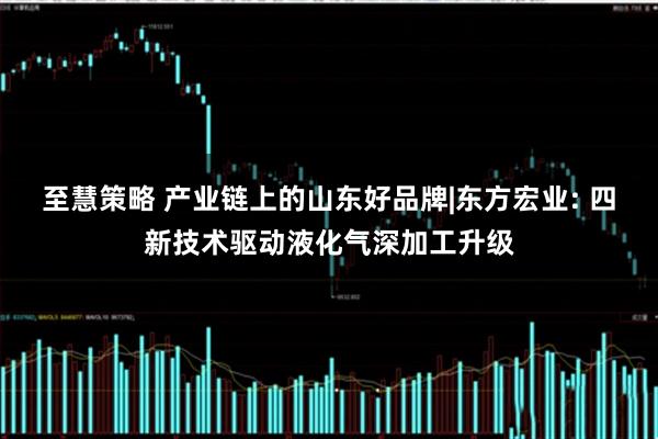 至慧策略 产业链上的山东好品牌|东方宏业: 四新技术驱动液化气深加工升级