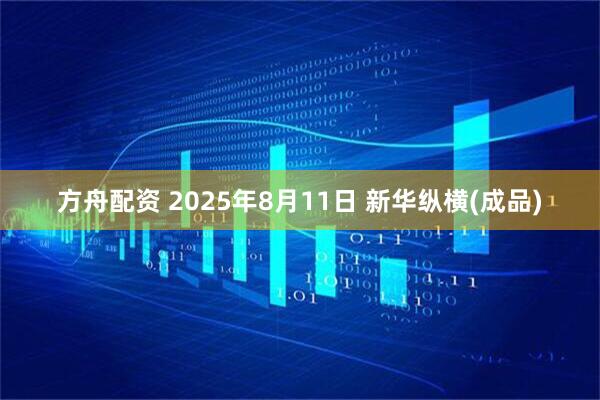 方舟配资 2025年8月11日 新华纵横(成品)