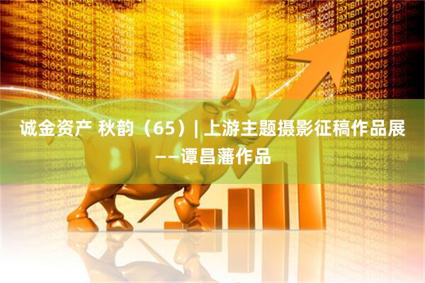 诚金资产 秋韵（65）| 上游主题摄影征稿作品展——谭昌藩作品