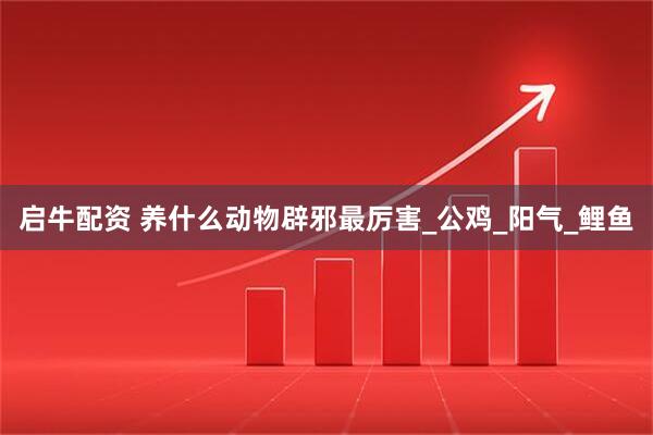 启牛配资 养什么动物辟邪最厉害_公鸡_阳气_鲤鱼