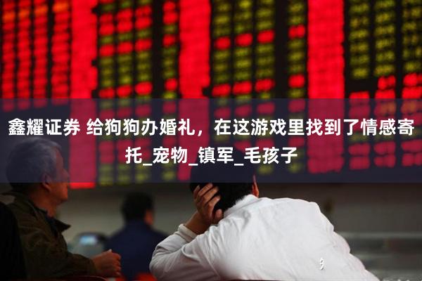 鑫耀证券 给狗狗办婚礼，在这游戏里找到了情感寄托_宠物_镇军_毛孩子